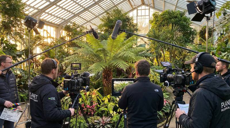 黑丝植物视频-幕后花絮视频教程